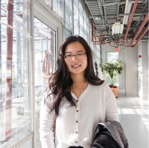 Lisa Han