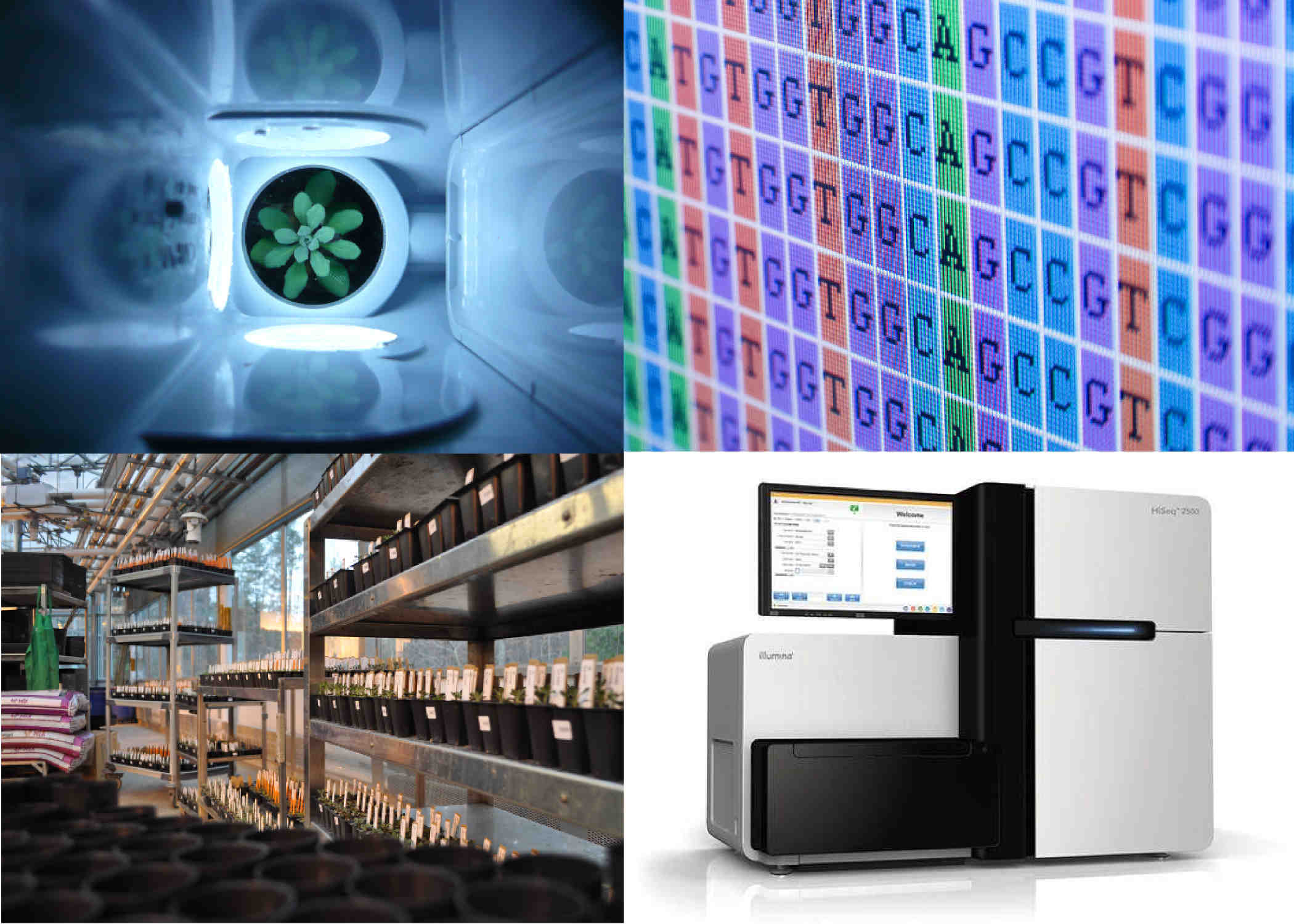 High-throughput phenotyping and genotyping methods.