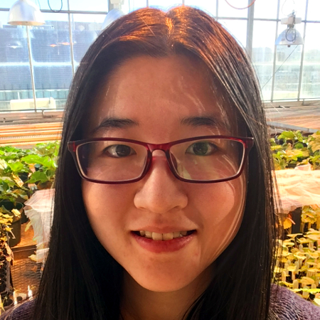 Yihan Wu